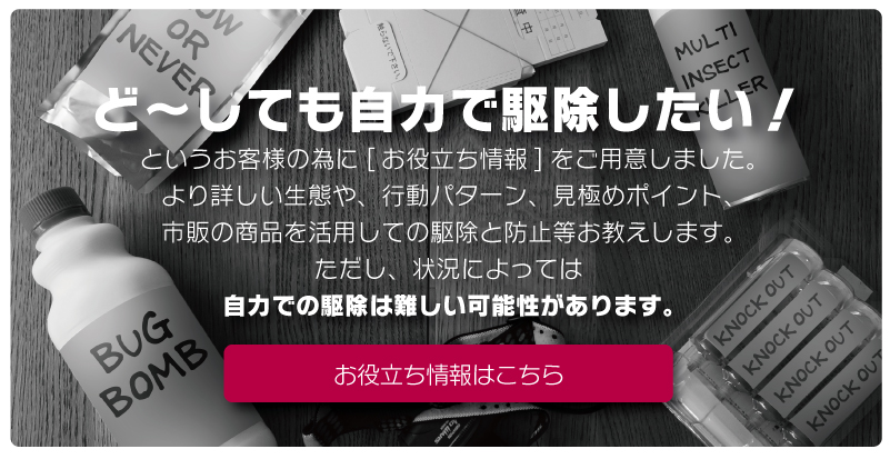 自力で駆除したい