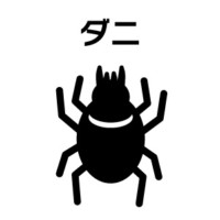 ダニの駆除なら家守
